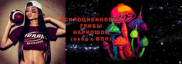 дмт Алексин
